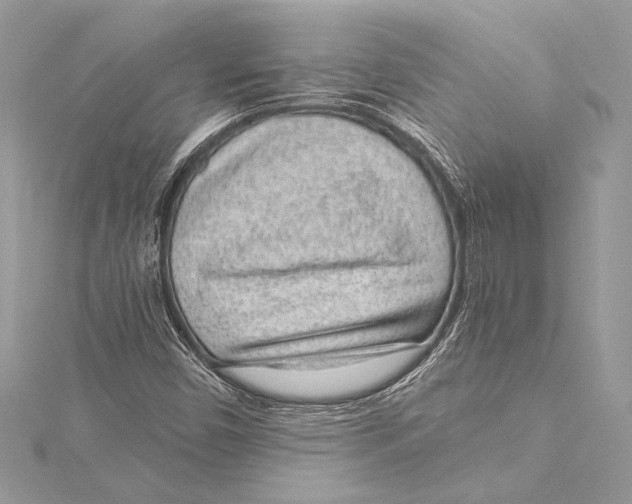 X0000115291450200911301324