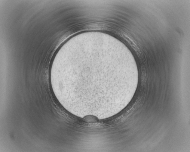 X0000115291465200911301324