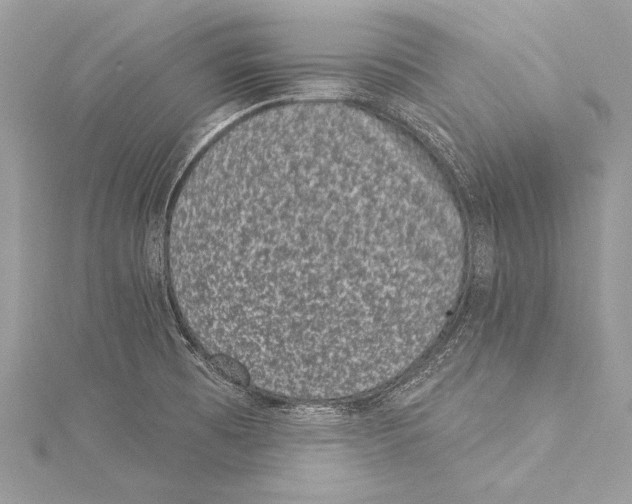 X0000115291473200911301323