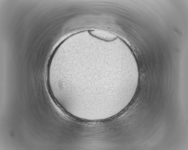 X0000115291523200911301323