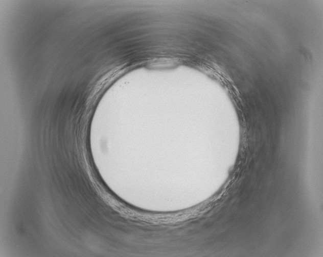 X0000115290001200912141105