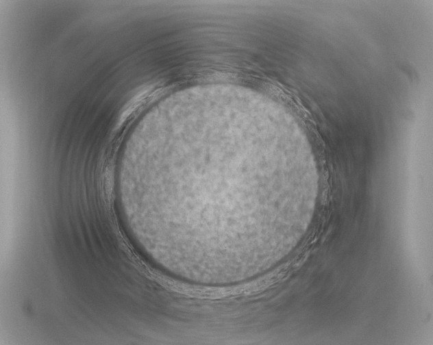 X0000115290002200912141105