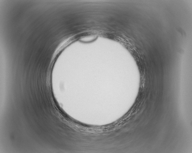 X0000115290004200912141105