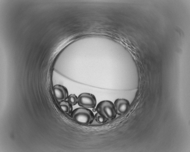 X0000115290005200912141105