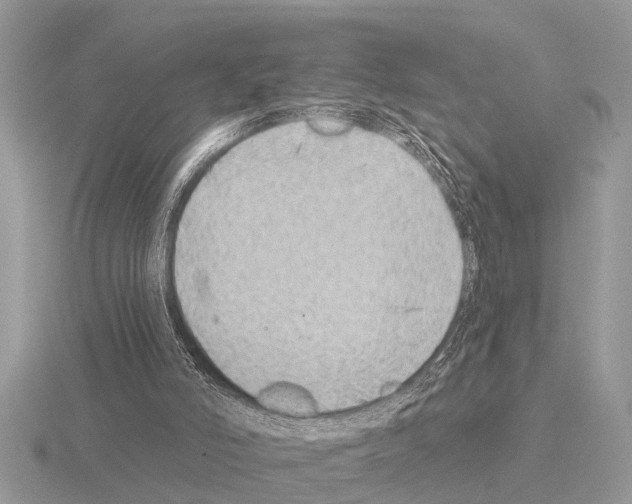 X0000115290006200912141105