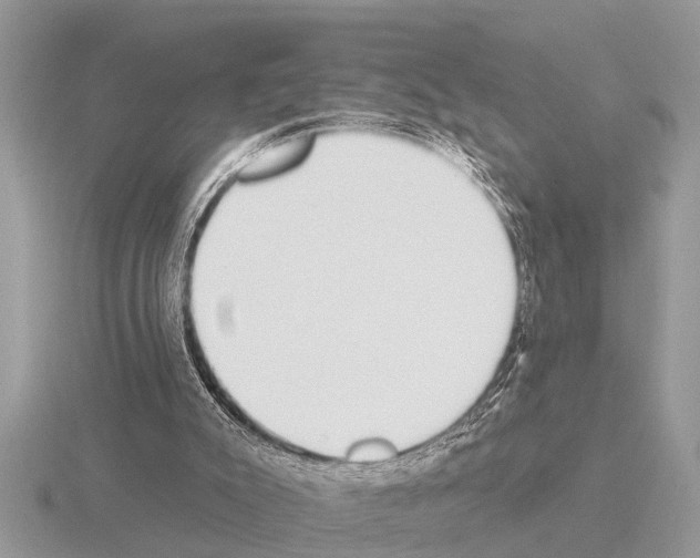 X0000115290007200912141105