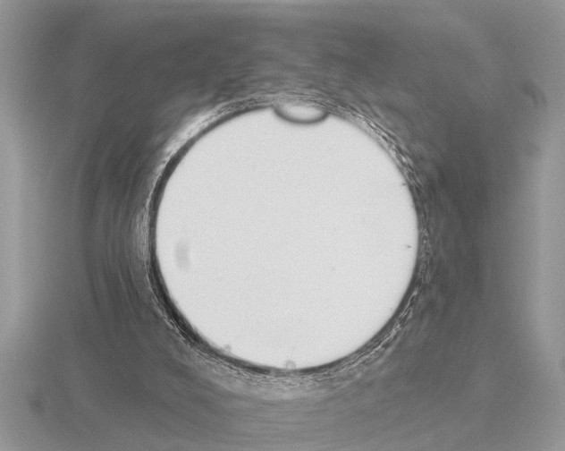 X0000115290008200912141105