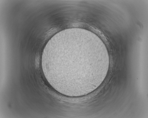 X0000115290010200912141105