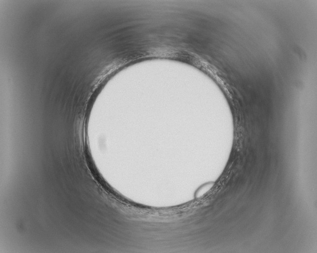 X0000115290011200912141105