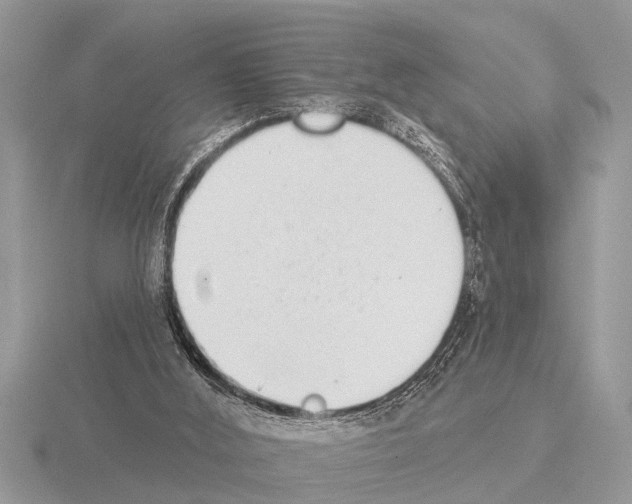 X0000115290012200912141105