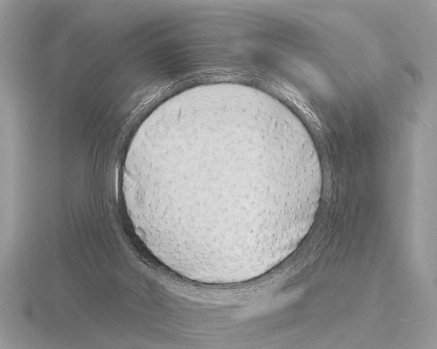 X0000115290014200912141105