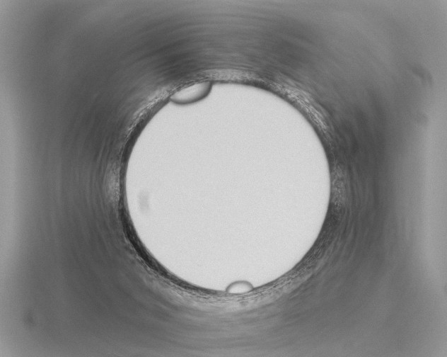 X0000115290015200912141105