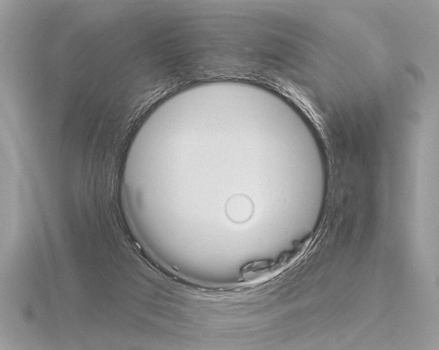 X0000115290017200912141105