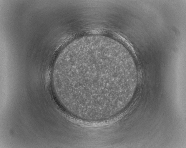 X0000115290018200912141105