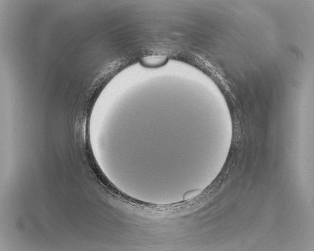 X0000115290019200912141105