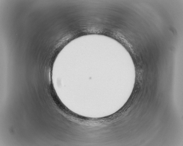 X0000115290020200912141105