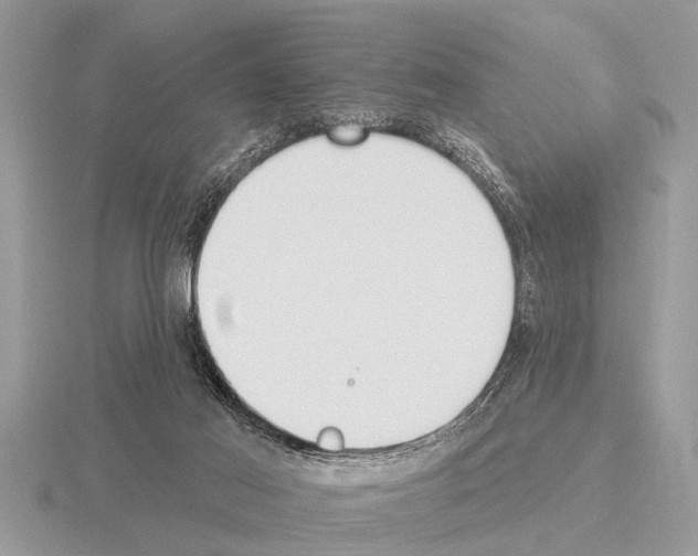 X0000115290021200912141105