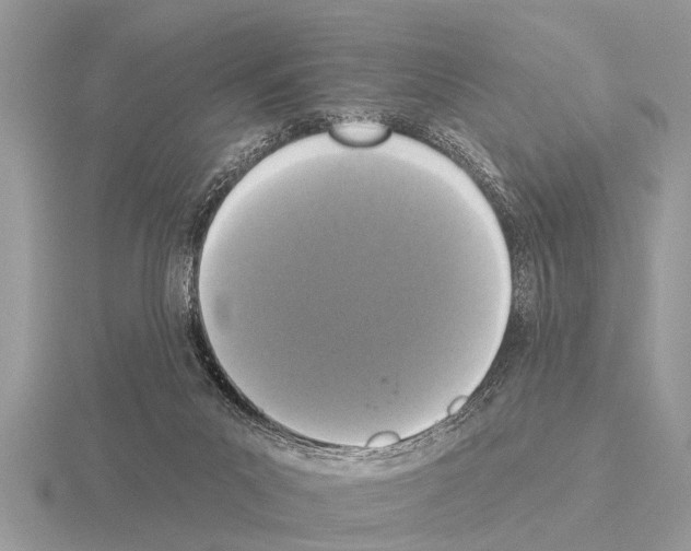 X0000115290023200912141105