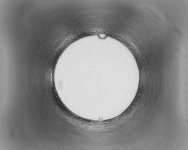 X0000115290024200912141105