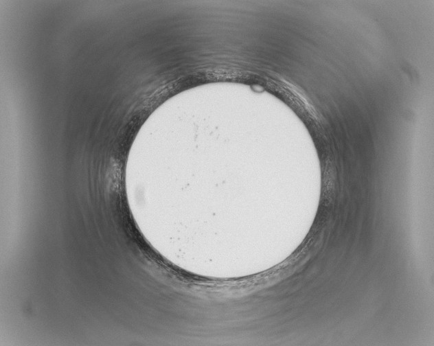 X0000115290025200912141105