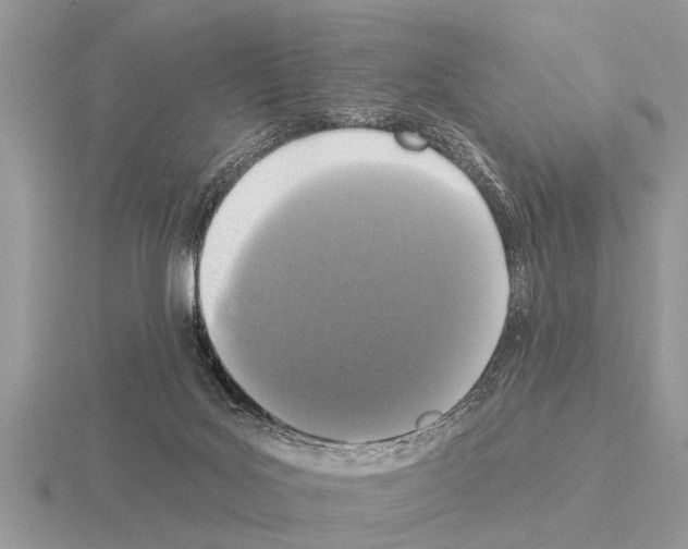 X0000115290027200912141105