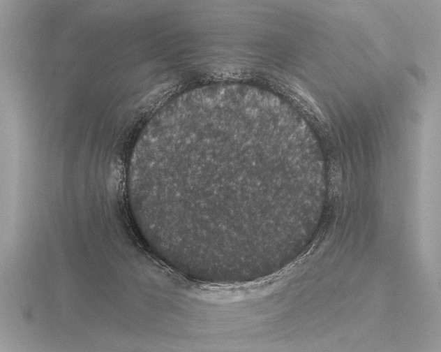 X0000115290029200912141105