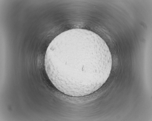 X0000115290030200912141105