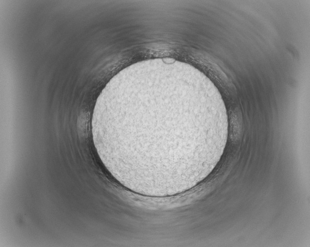 X0000115290034200912141105