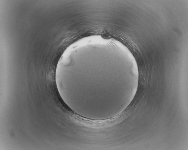 X0000115290035200912141105