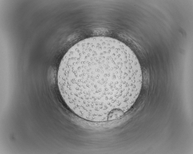 X0000115290038200912141105