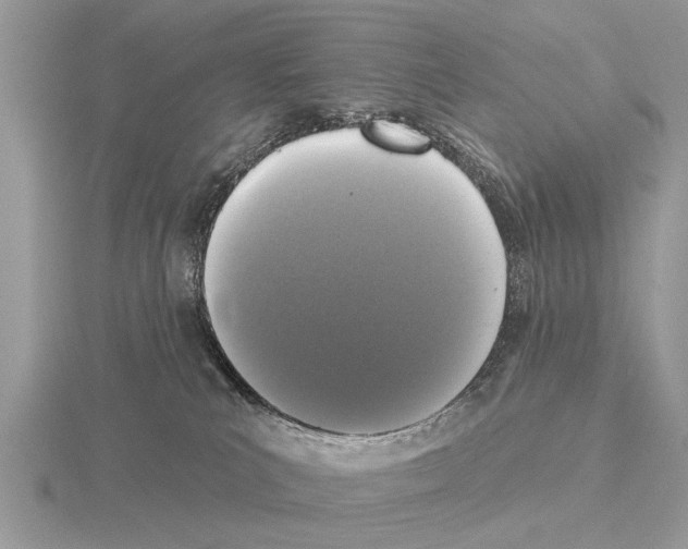 X0000115290039200912141105