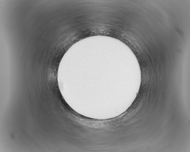 X0000115290040200912141105