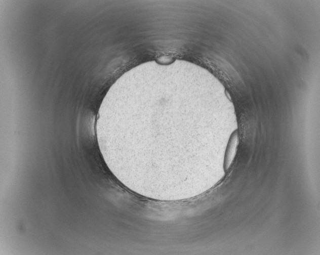 X0000115290041200912141105