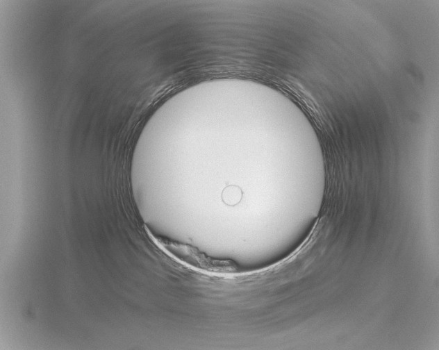 X0000115290045200912141105