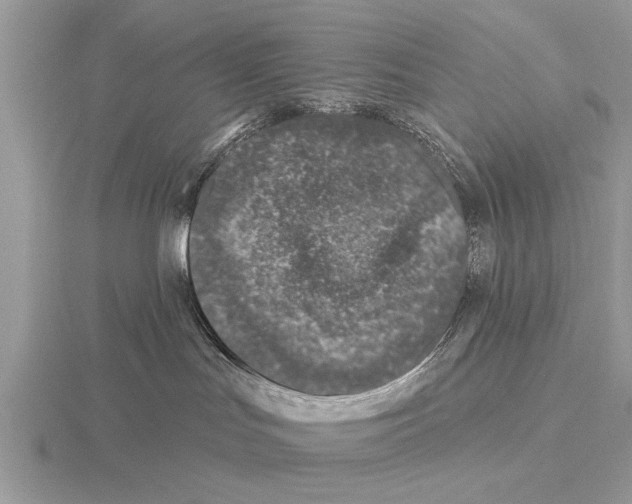 X0000115290047200912141105