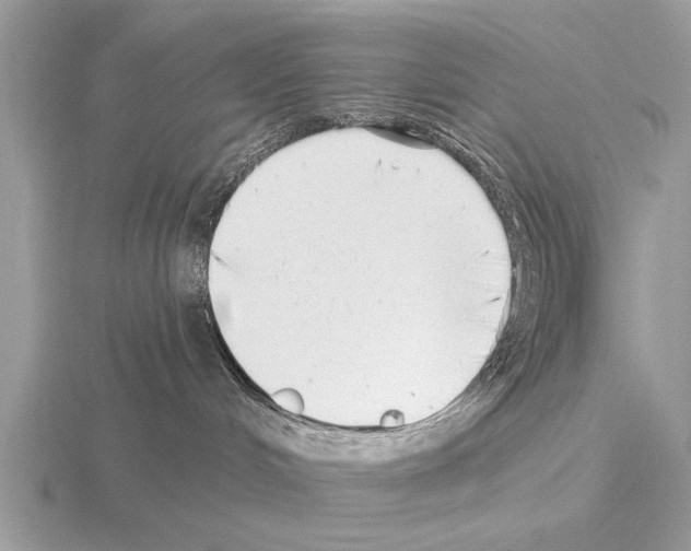 X0000115290048200912141105