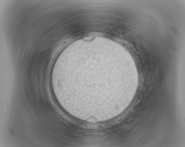 X0000115290049200912141104