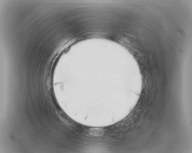 X0000115290050200912141104