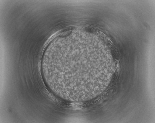 X0000115290051200912141104