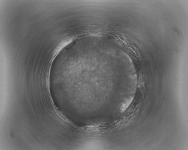 X0000115290052200912141104