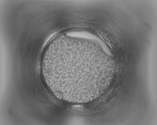 X0000115290053200912141104