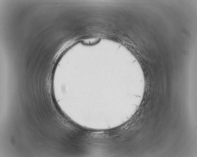 X0000115290054200912141104