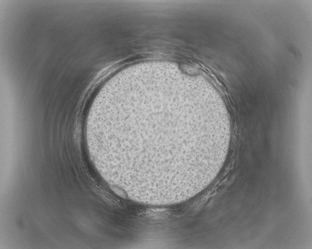 X0000115290055200912141104