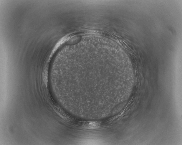 X0000115290056200912141104