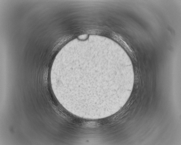 X0000115290058200912141104