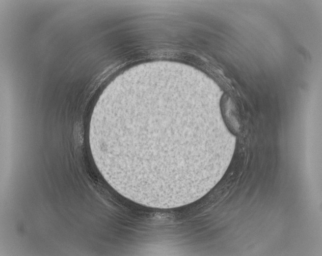 X0000115290060200912141104