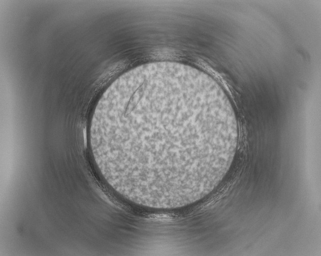 X0000115290061200912141104