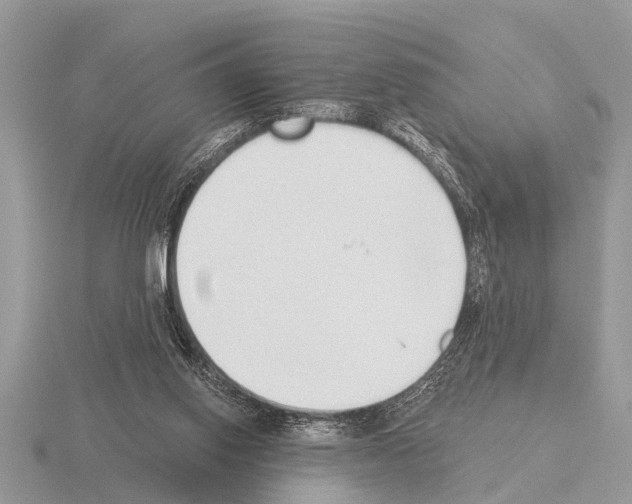 X0000115290062200912141104