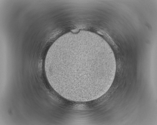 X0000115290066200912141104