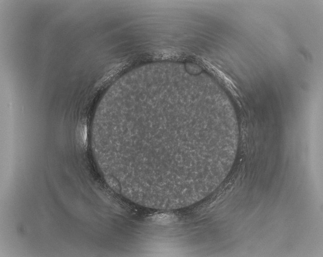 X0000115290067200912141104